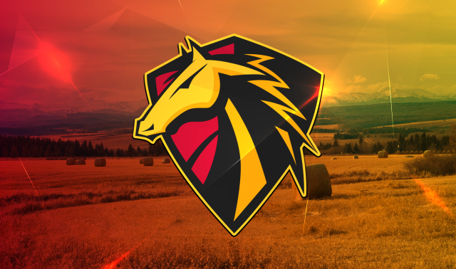 JUNIOR PROSPECTS HOCKEY LEAGUE ANNOUNCES THE RETURN OF THE CALGARY STALLIONS